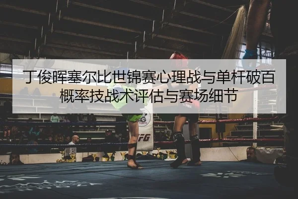 丁俊晖塞尔比世锦赛心理战与单杆破百概率技战术评估与赛场细节（PG）