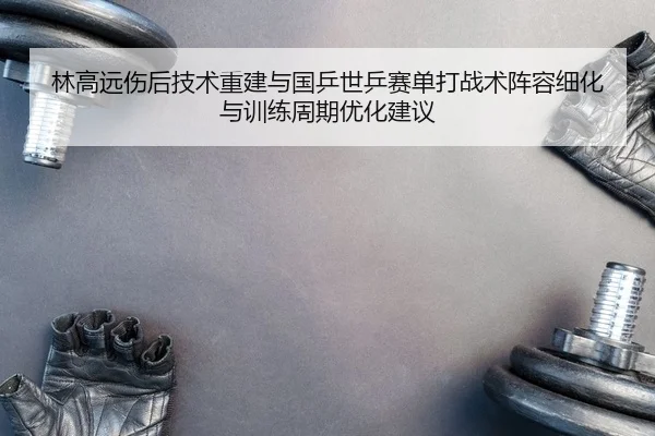 林高远伤后技术重建与国乒世乒赛单打战术阵容细化与训练周期优化建议（PG）