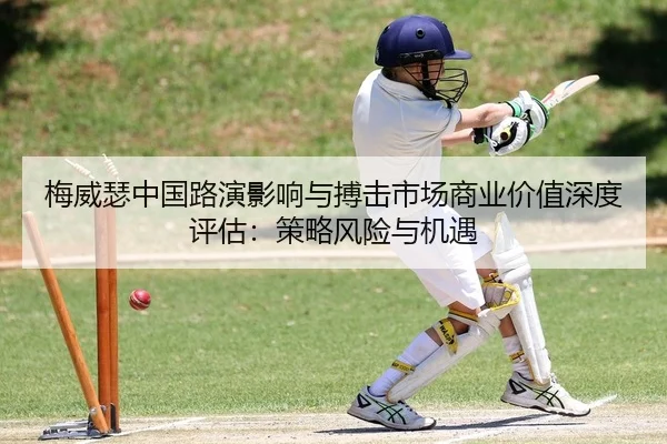 梅威瑟中国路演影响与搏击市场商业价值深度评估：策略风险与机遇